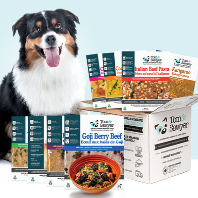 5 Reasons Why Your Pet Needs a Dog or Cat Food Subscription