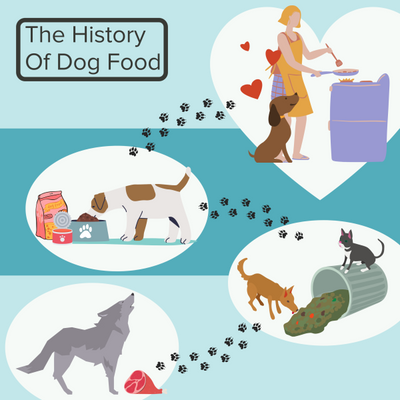 History and Origins of Dog Food