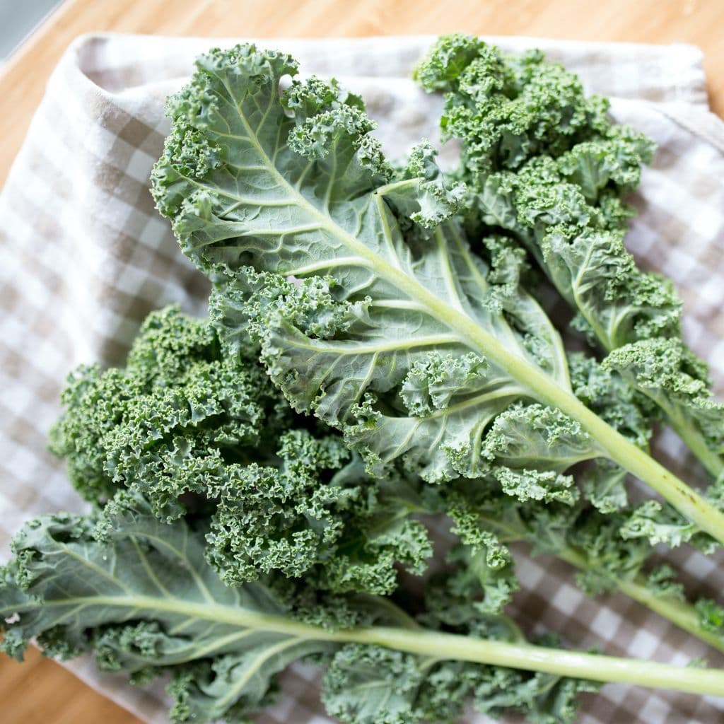 Fresh kale for dogs