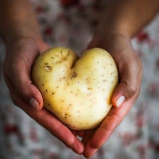 Potato for dog food recipe