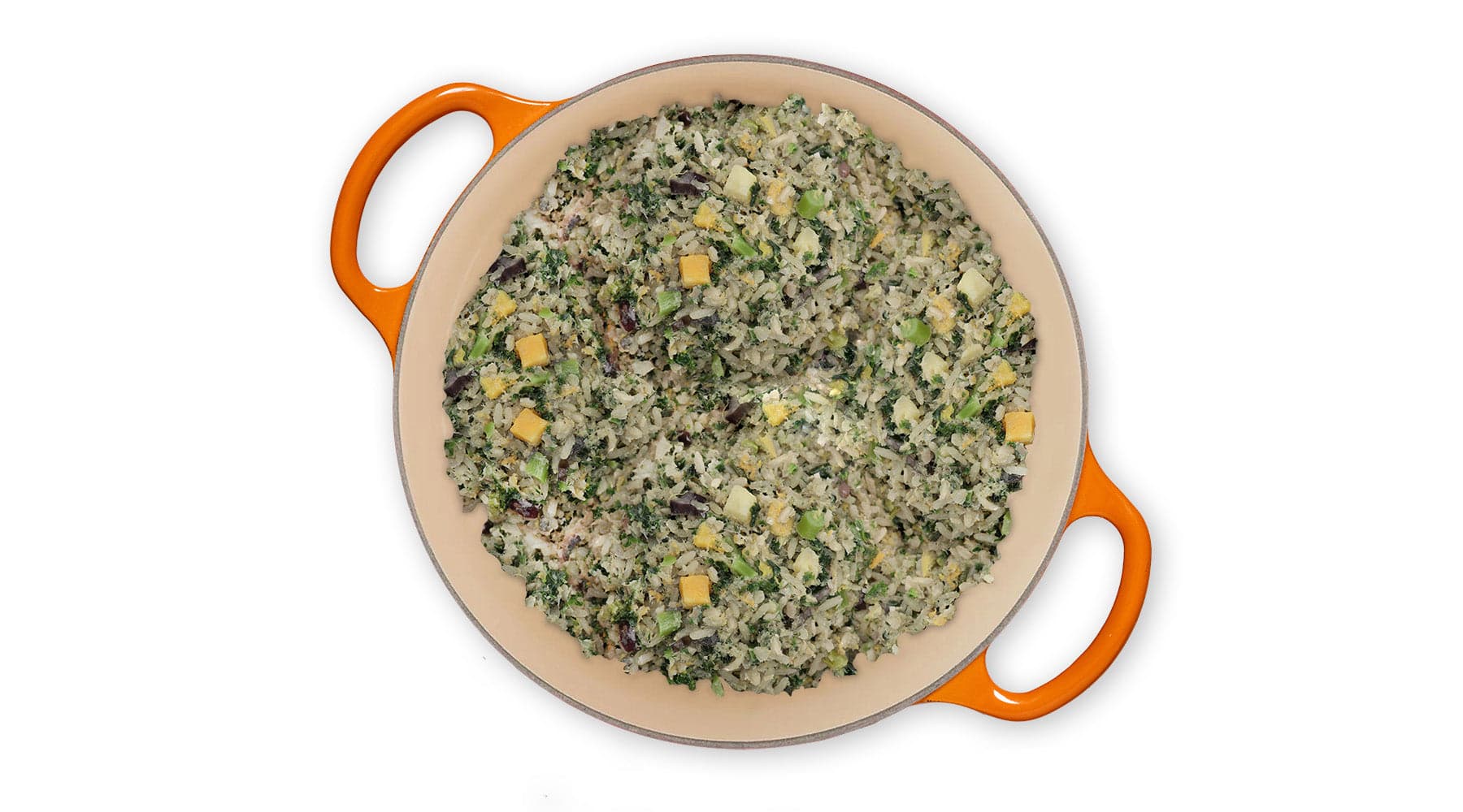 Tom&Sawyer — How Do You Know If Your Dog Has a Food Allergy (and What to Feed Instead)?