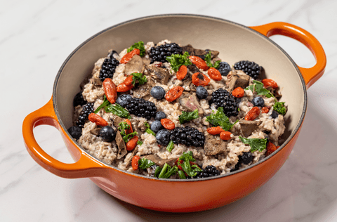 cooked dog food recipe
