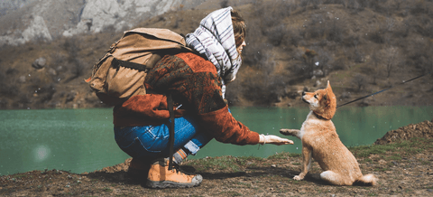 Tom&Sawyer — 5 Ways Dogs Can Improve Our Mental Health
