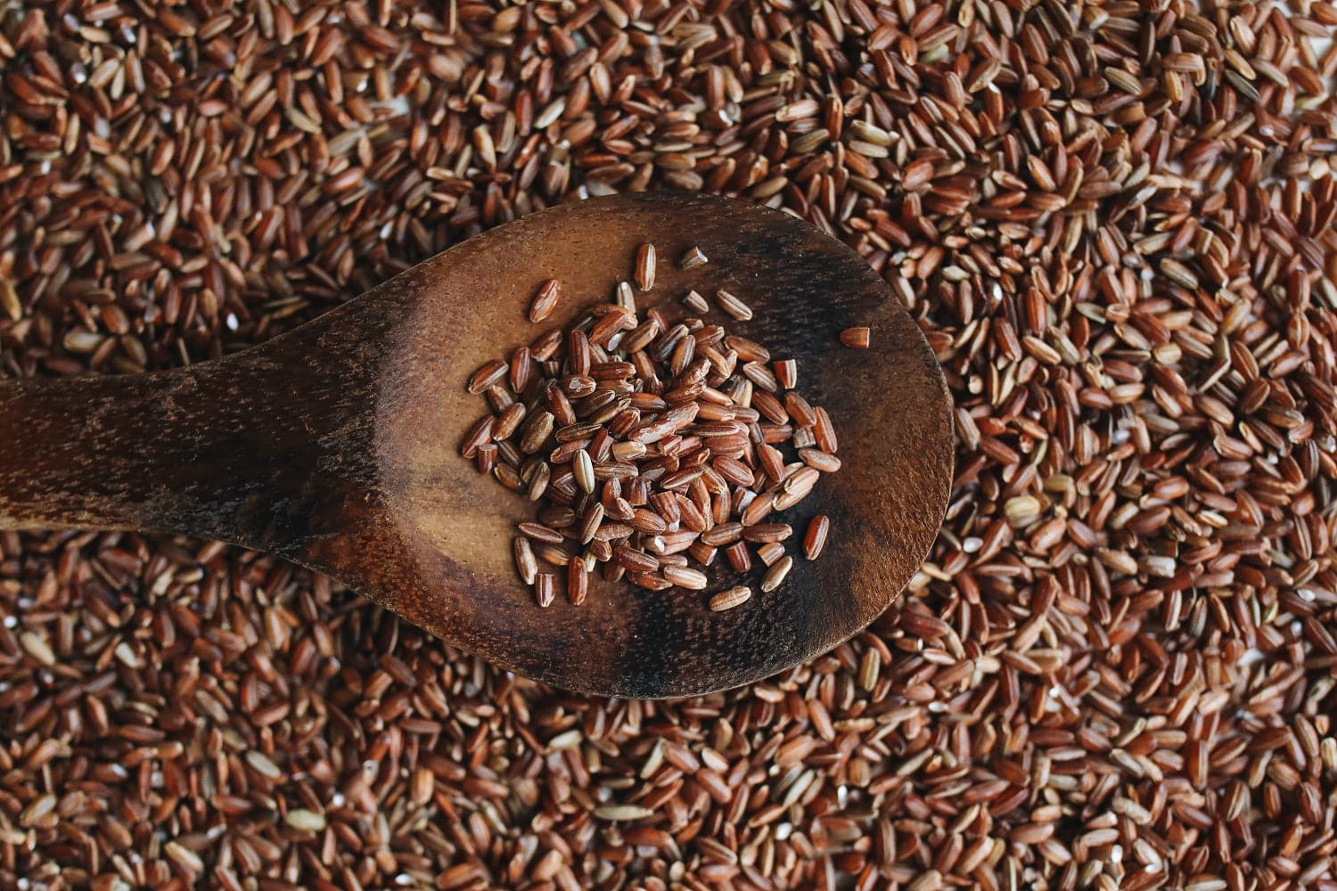Tom&Sawyer — A Quick Scoop on Fibre in Your Pet's Diet