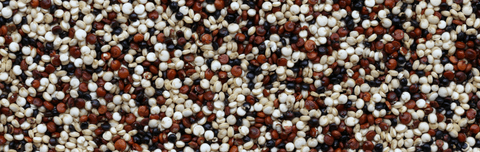 Quinoa