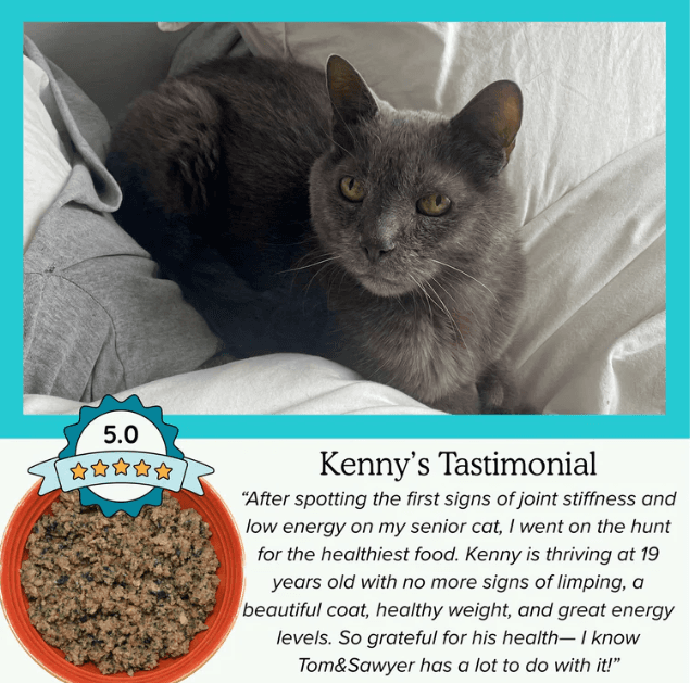 Tom&Sawyer โ Best Cat Food for Dry Skin and Dandruff