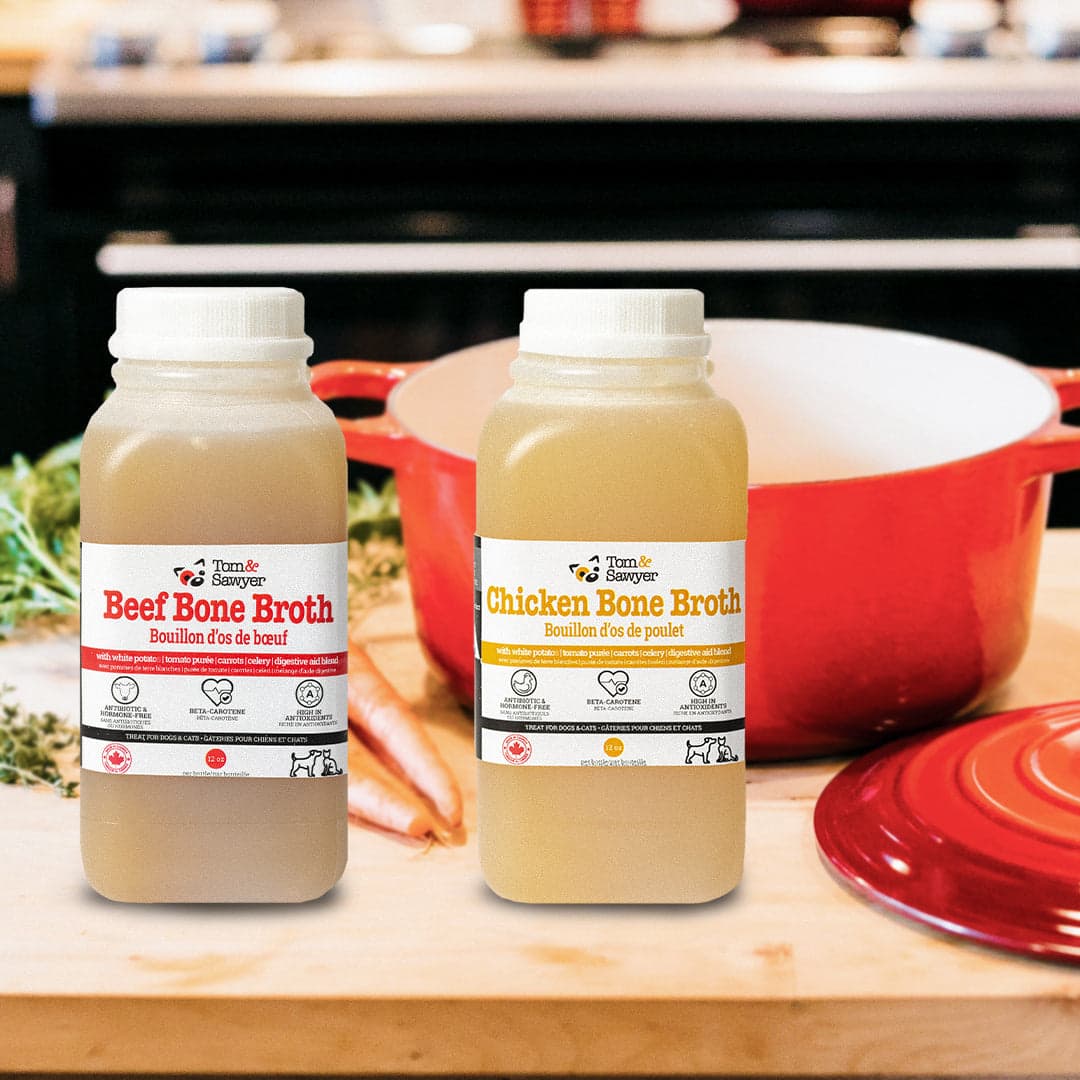 Tom&Sawyer — Bone Broth for Dogs and Cats: Nutritional Benefits and How to Use It