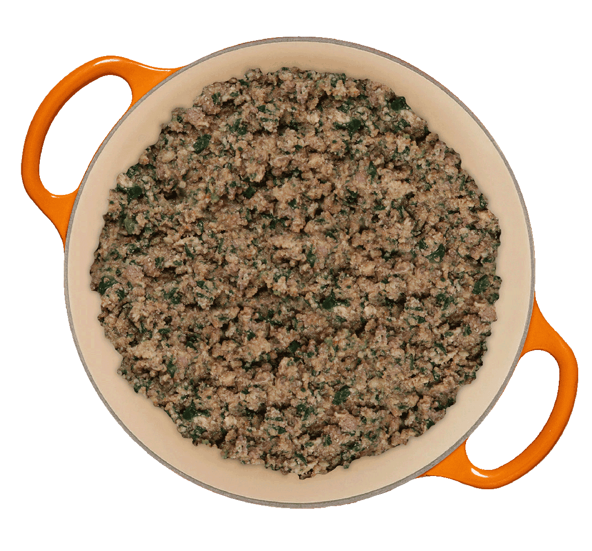 Tom&Sawyer — Can Cats Eat Salmon? A Vet-Backed Guide to This Powerful Protein for Cats