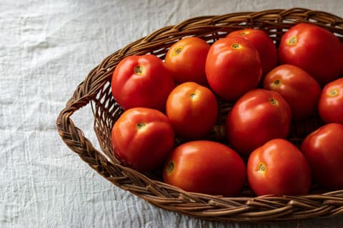 Tom&Sawyer — Can Dogs and Cats Eat Tomatoes? Everything You Need to Know