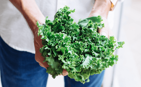 Fresh kale for dog food recipe