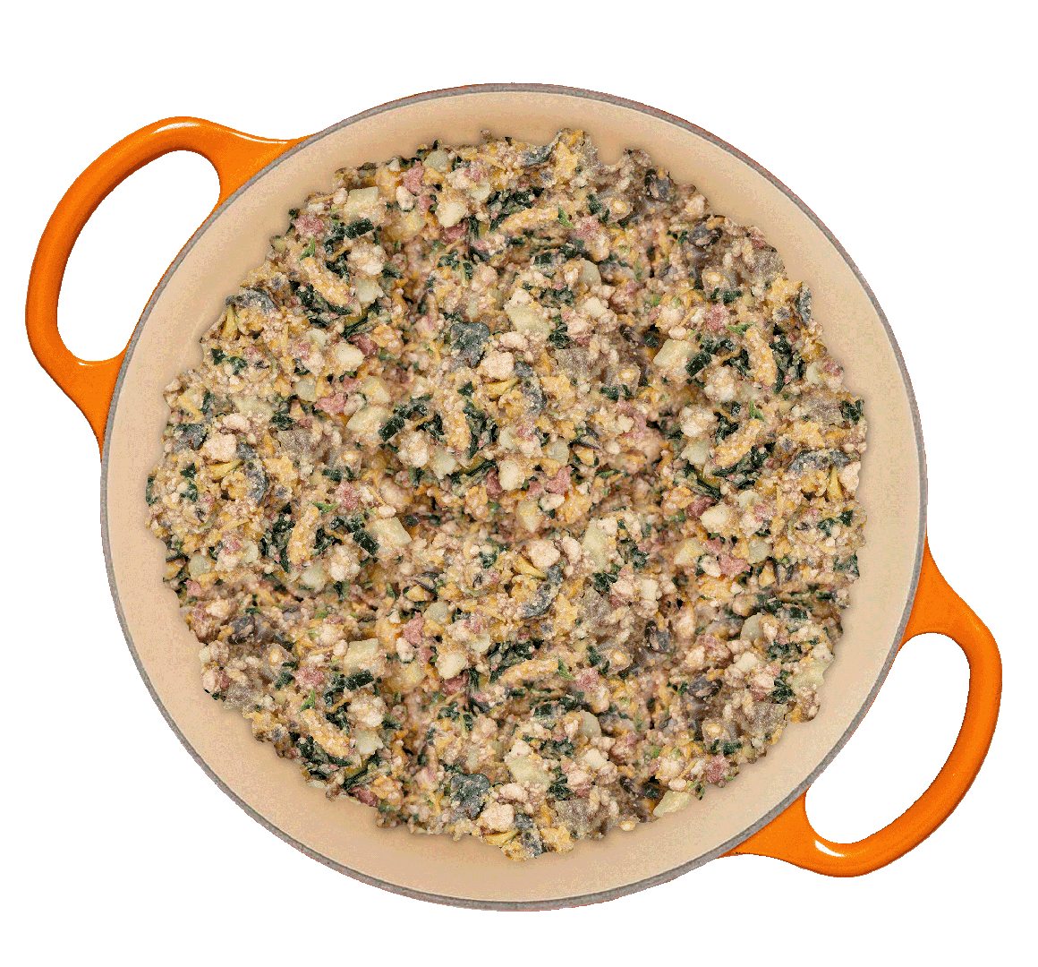 Tom&Sawyer — Can Dogs Eat Sweet Potatoes? The Powerful Superfood Your Dog Might Already Love
