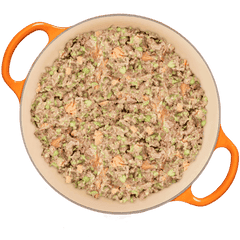 Tom&Sawyer — Common Health Issues in Chihuahuas and How Diet Can Help Support Them