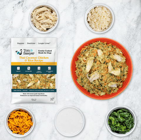Tom&Sawyer โ Golden Retriever Health: Understanding and Managing Common Issues Through Nutrition