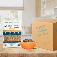 Tom&Sawyer — Golden Retriever Health: Understanding and Managing Common Issues Through Nutrition