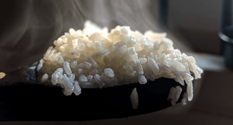 Tom&Sawyer — Do Dogs Need Carbohydrates?