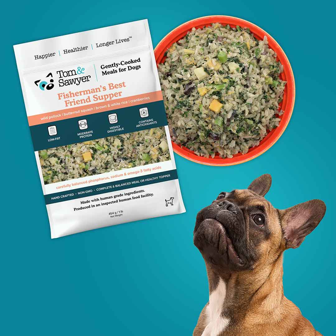 Tom&Sawyer Novel Protein, Limited Ingredient Discovery Box for Allergies & Seniors: Fisherman's Best Friend Supper โ product image 2