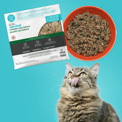Tom&Sawyer — How Fresh Food Supports Cat Urinary Tract Health and Proper Hydration