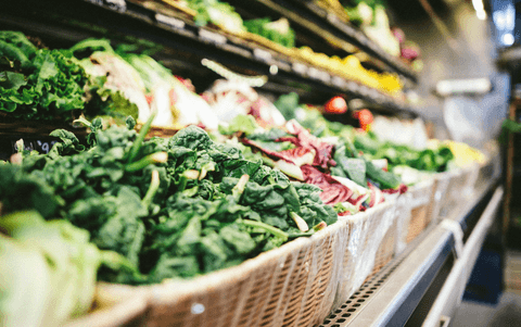 Tom&Sawyer — Fresh Pet Food and Seasonal Variability