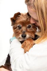 Tom&Sawyer — Inside Tom&Sawyer: How We Create Human-Grade Dog Food in Canada