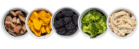 Tom&Sawyer — How We’re Keepin’ it Real with Fresh Food For Your Dogs & Cats