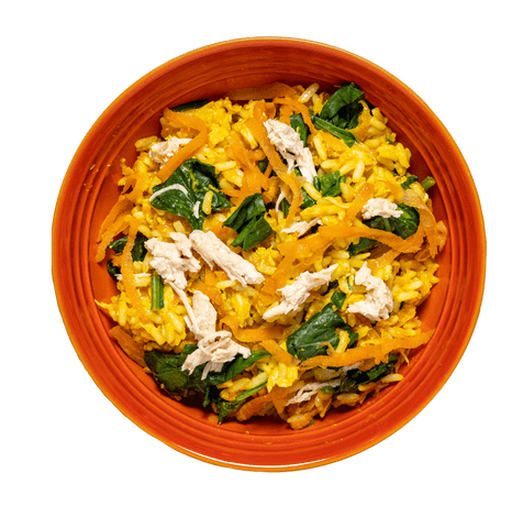 Tom&Sawyer — How We’re Keepin’ it Real with Fresh Food For Your Dogs & Cats