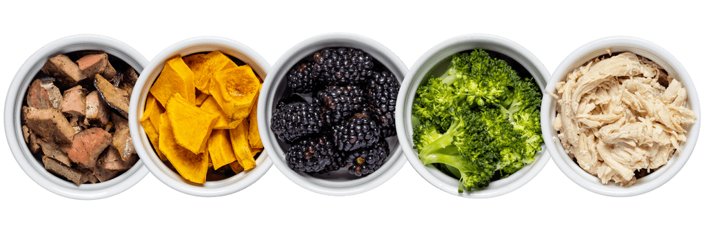 Tom&Sawyer — Maximizing Nutrients and Digestibility: The Role of Ingredient Sourcing and Processing in Pet Food