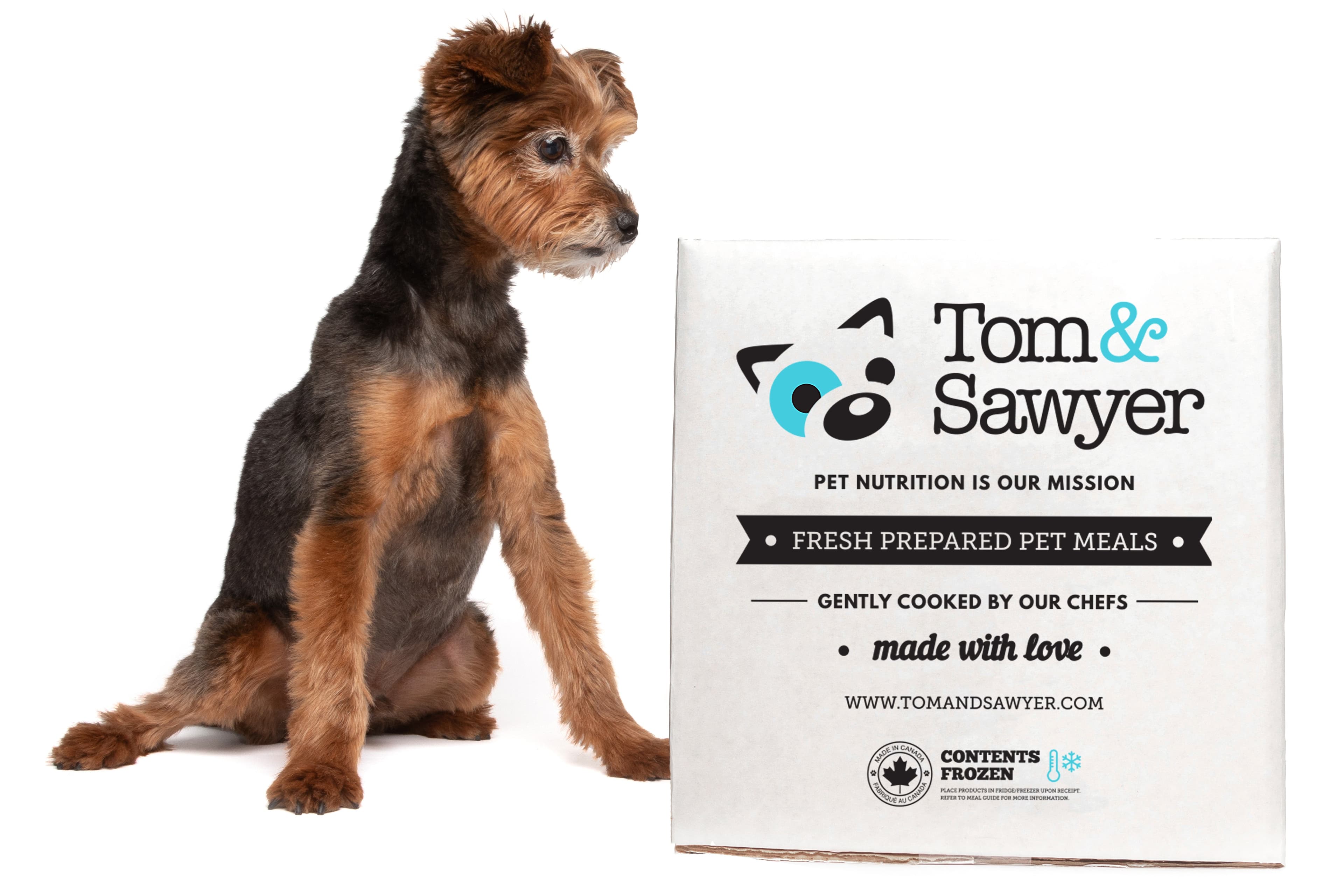 Tom&Sawyer — Maximizing Nutrients and Digestibility: The Role of Ingredient Sourcing and Processing in Pet Food