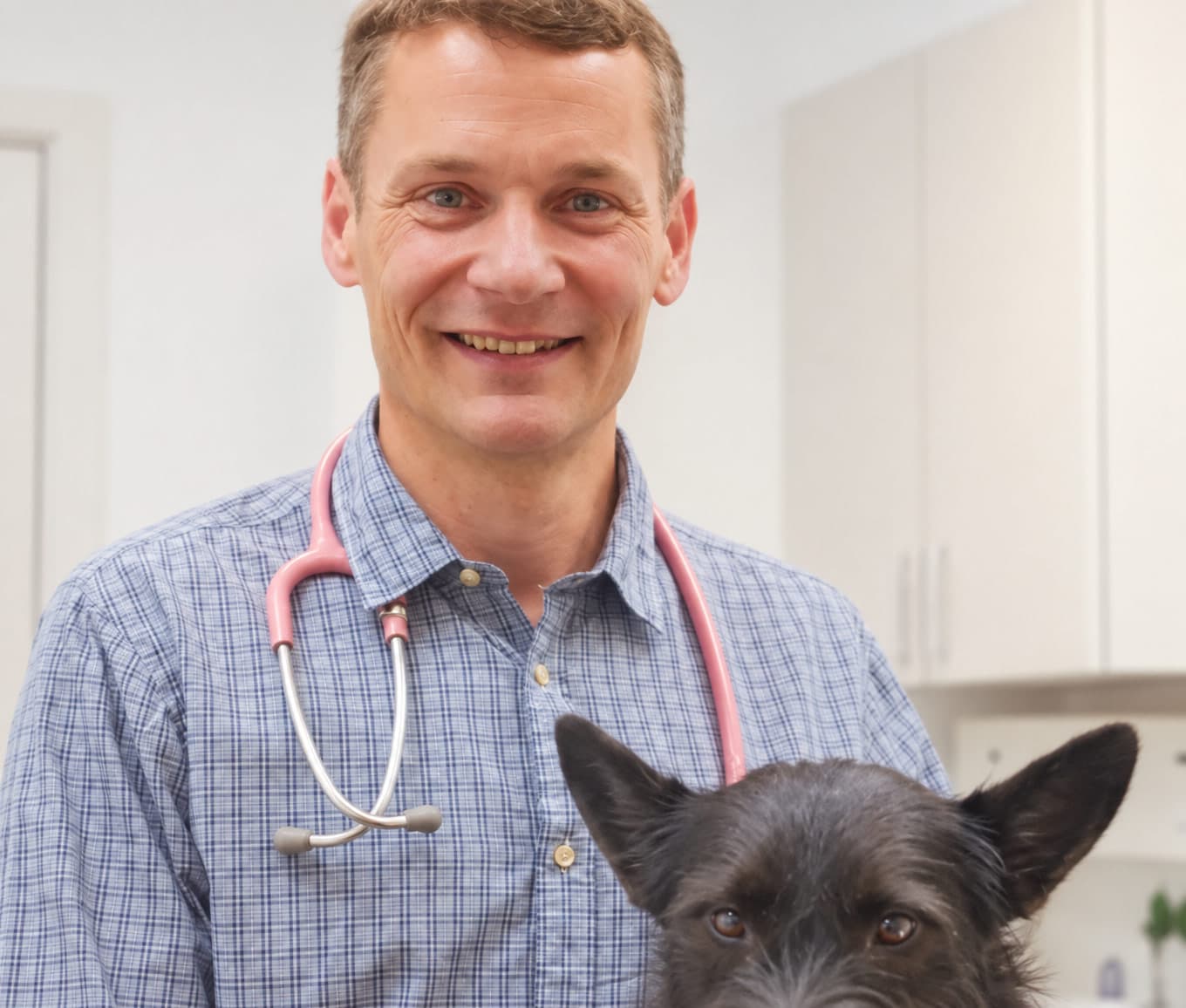 Dr Joe Inglis