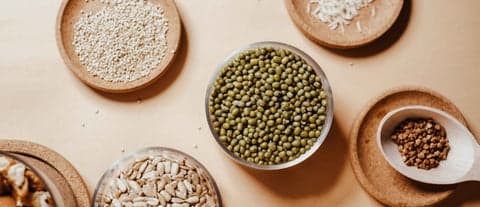Tom&Sawyer — Micronutrients, Macro Impact: 5 Nutrients For Weight Support In Pets
