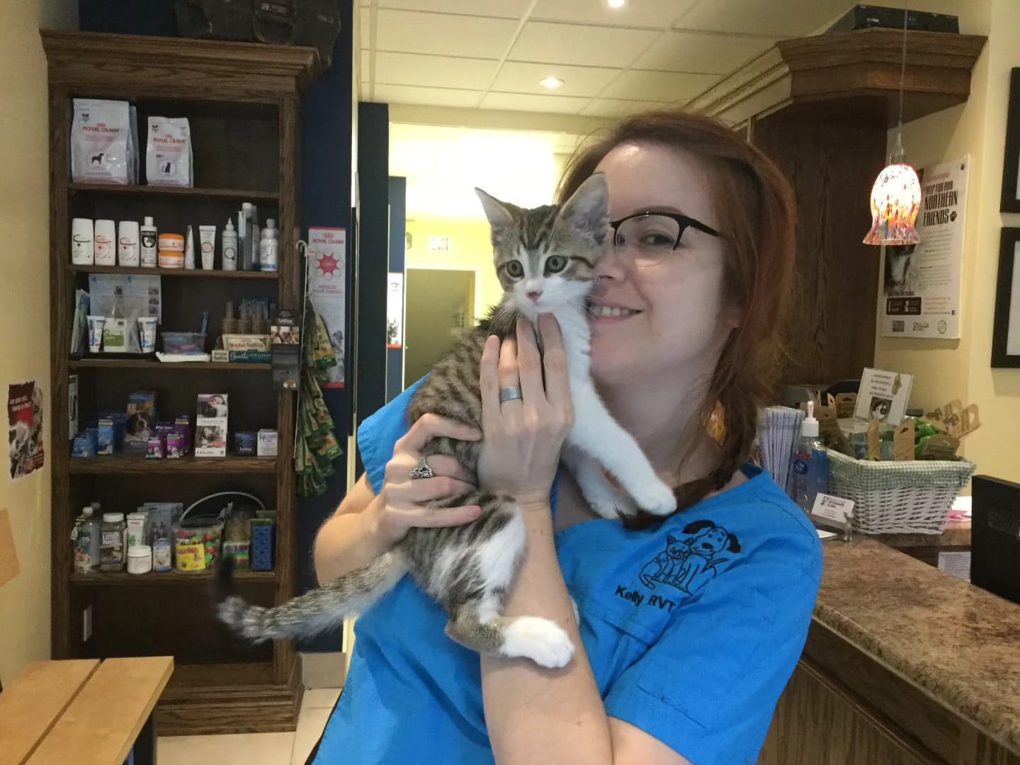 Tom&Sawyer — Celebrating National Cat Lady Day: What Our Nutrition Experts Feed Their Cats