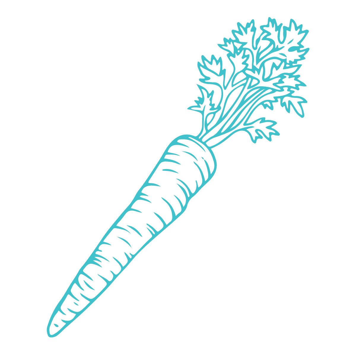 Illustration of a carrot