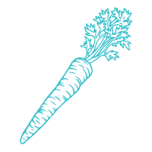 Illustration of a carrot