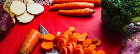 Healthy food for dogs