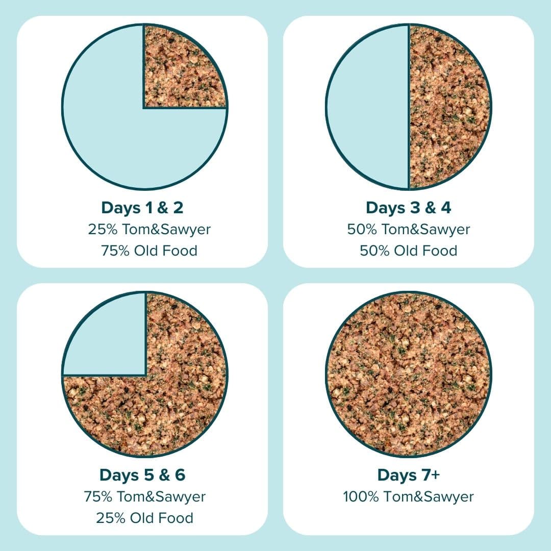 Tom&Sawyer — How to Transition Your Dog or Cat To a New Diet