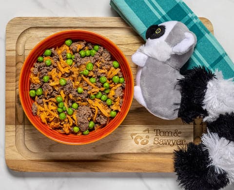 Tom&Sawyer — Understanding Allergies in Dogs and How To Help
