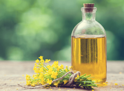 Canola Oil