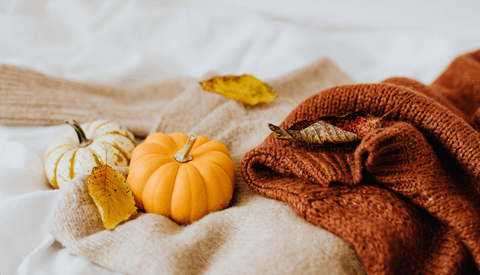 Tom&Sawyer — Tummy Tamer: Chicken, Rice & Pumpkin Recipe for Dogs