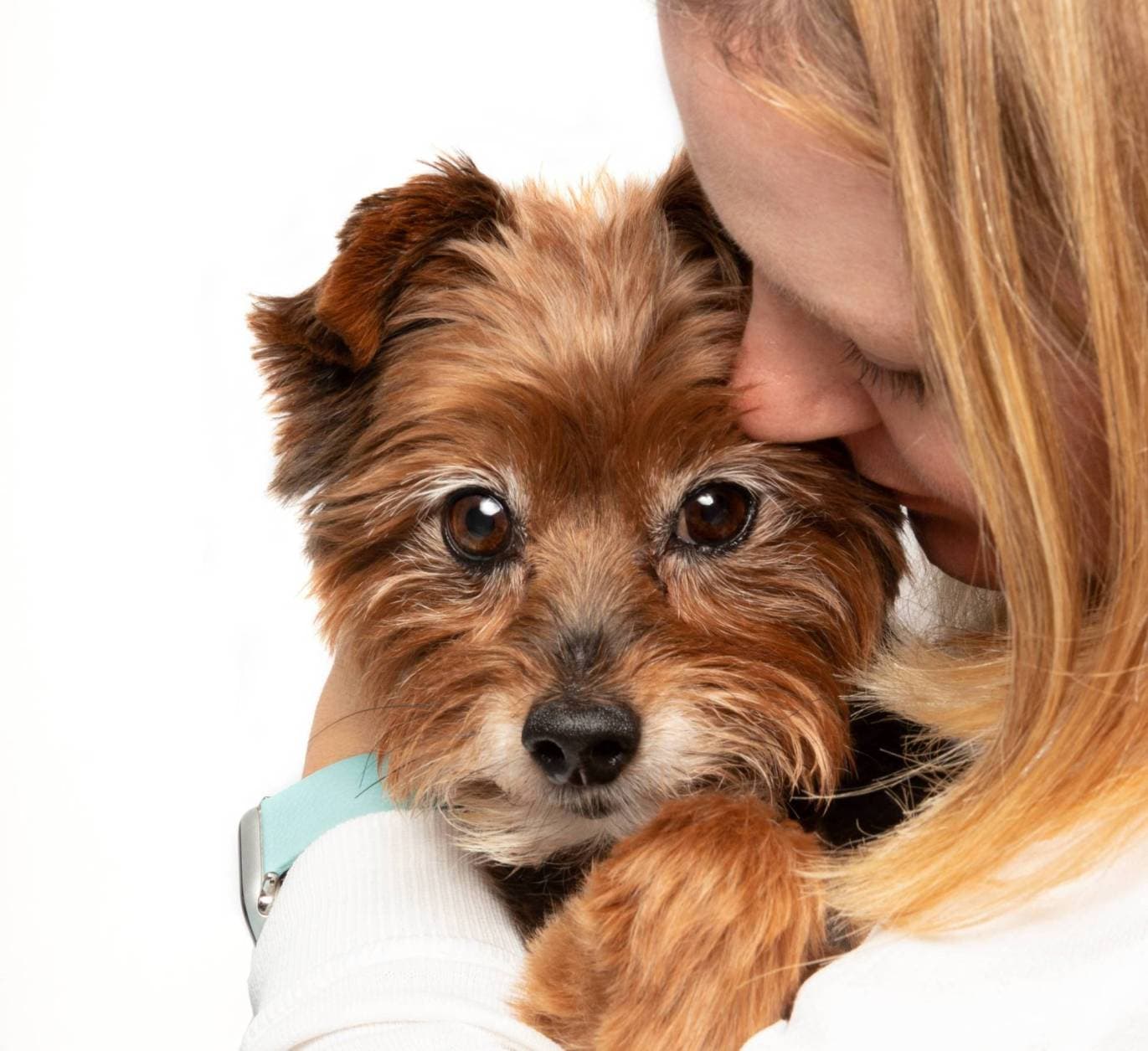 Sawyer and Kristin pet parent love