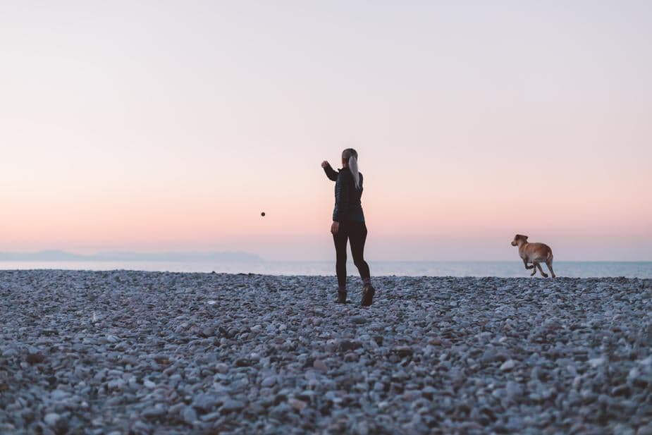 Image of woman and dog on a rocky beach playing fetch