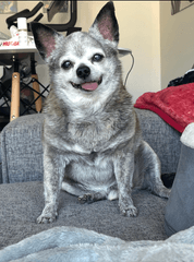 Tom&Sawyer — Why Healthy Weight & Whole Food Nutrition Matter: Cooper’s Story