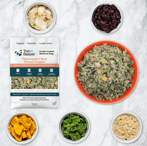 Tom&Sawyer — Mercury in Dog Food: Why We Chose Wild Alaskan Pollock