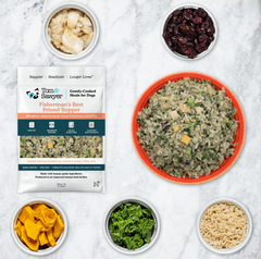 Tom&Sawyer — Common Health Issues for Yorkshire Terriers: How the Right Diet Can Help
