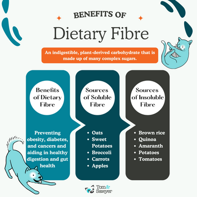 Ferment on This: Dietary Fibre for Your Pets