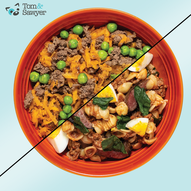 View of Grain Free Dog Food vs Grain Inclusive Dog Food: What's Best? - Tom&Sawyer