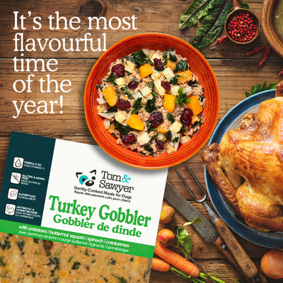 Turkey Gobbler: Healthy Turkey Recipe for Dogs