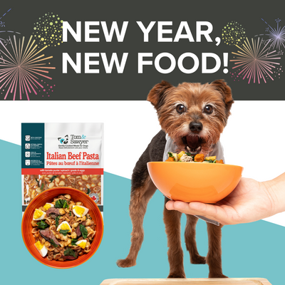 The Future Looks Fresh! New Year, FRESH Start For Our Dogs & Cats