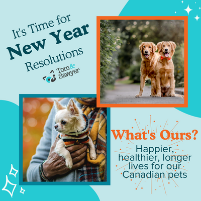New Year, FRESH Start For Our Dogs & Cats