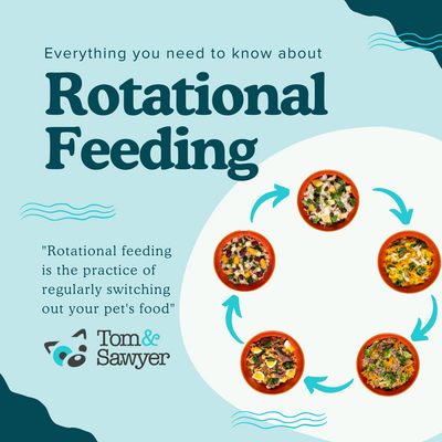 Rotational Feeding for Your Pet
