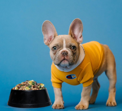 How Cooked Dog Food can Benefit Your Dog's Skin Microbiome