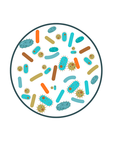 Is Your Dog Hounded By Bad Bacteria?